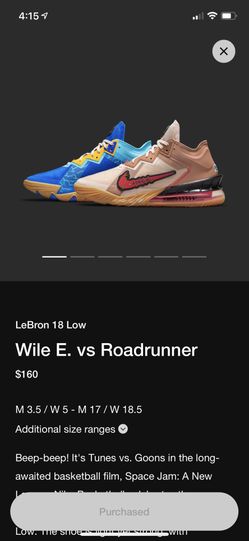 Lebron 18 Low Wil E. Vs Roadrunner 