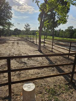 Fences