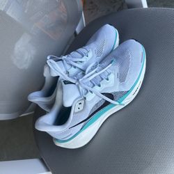 Nike Pegasus 41 Air Zoom 