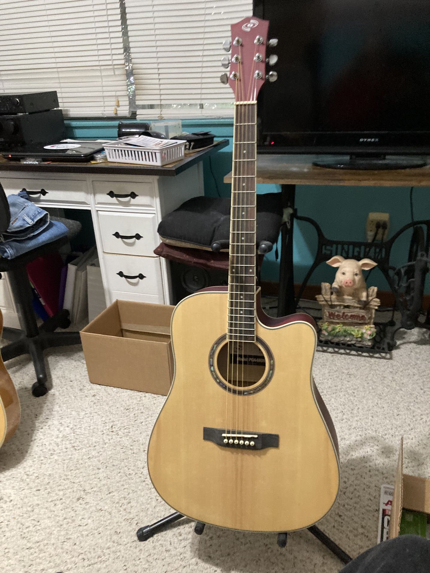Pyle Acoustic Guitar and Gig Bag
