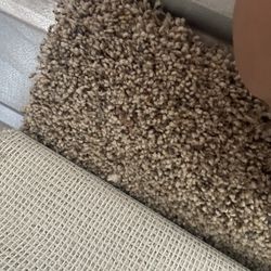 Carpet Remnants 