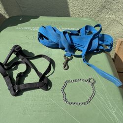 Puppy Leash Buddle