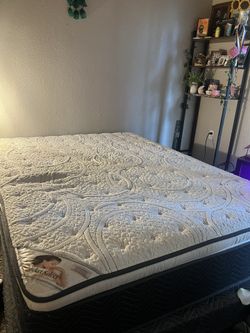 Queen Bed Mattress
