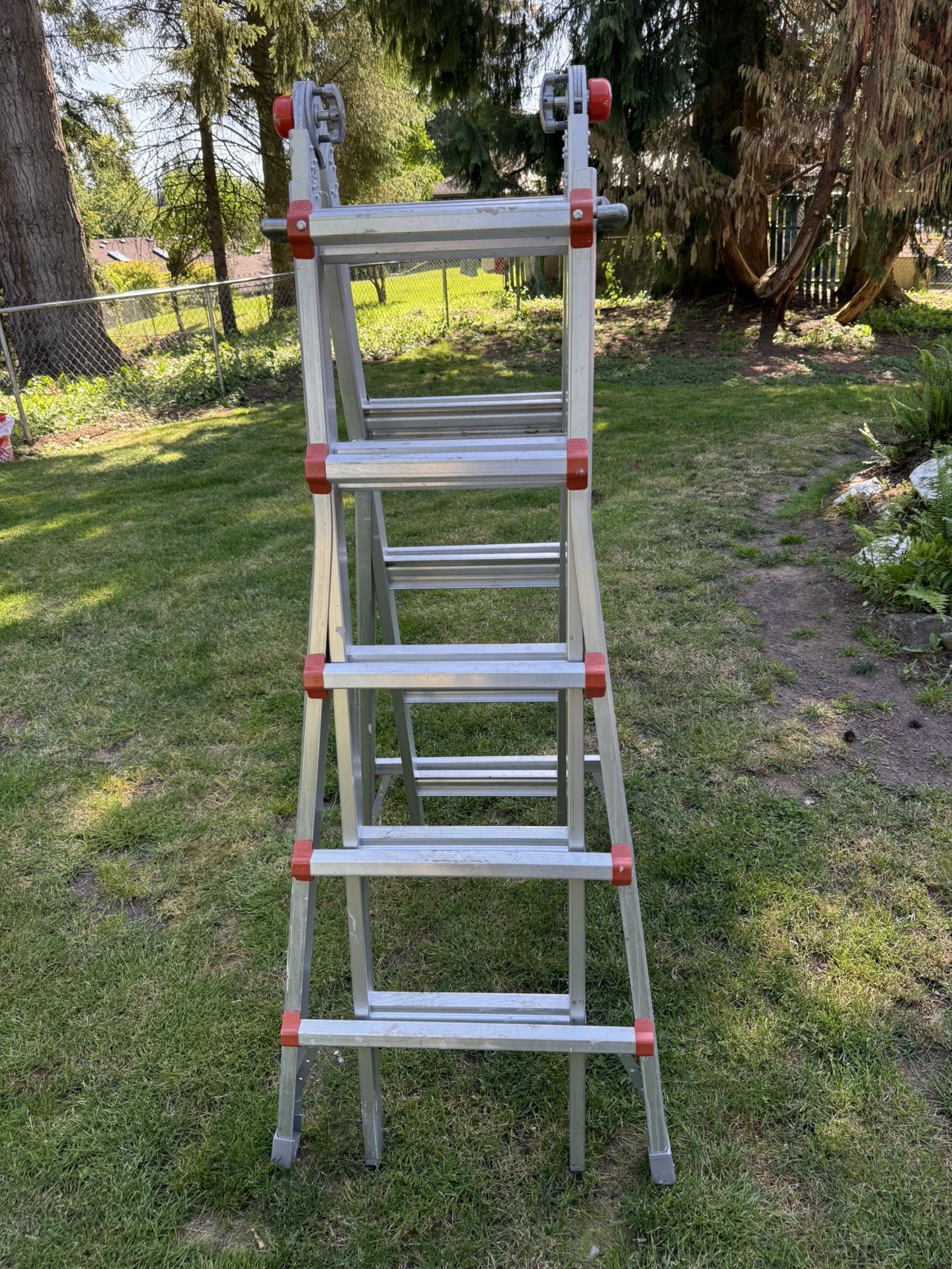 Little Giant Ladder