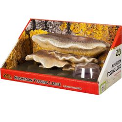 Zilla Mushroom Feeding Ledge  Brand New In Unopened Package. 