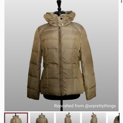 Womens Down Puffer Coat Gold