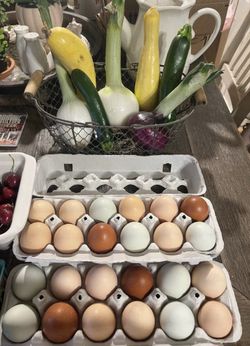 Fresh Eggs Hand Picked Daily ❤️
