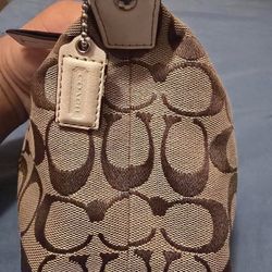 Dark Blue Stripes With Jaguar Print Coach Bag