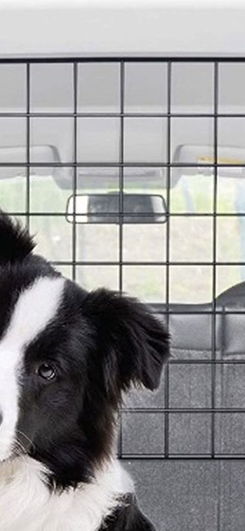 Pet Divider For Car