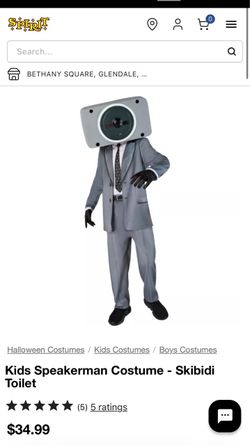 Speaker head costume