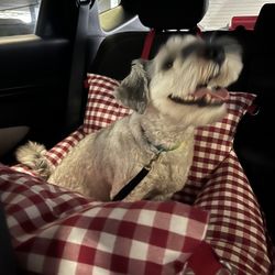 Dog Bed/Car Seat 