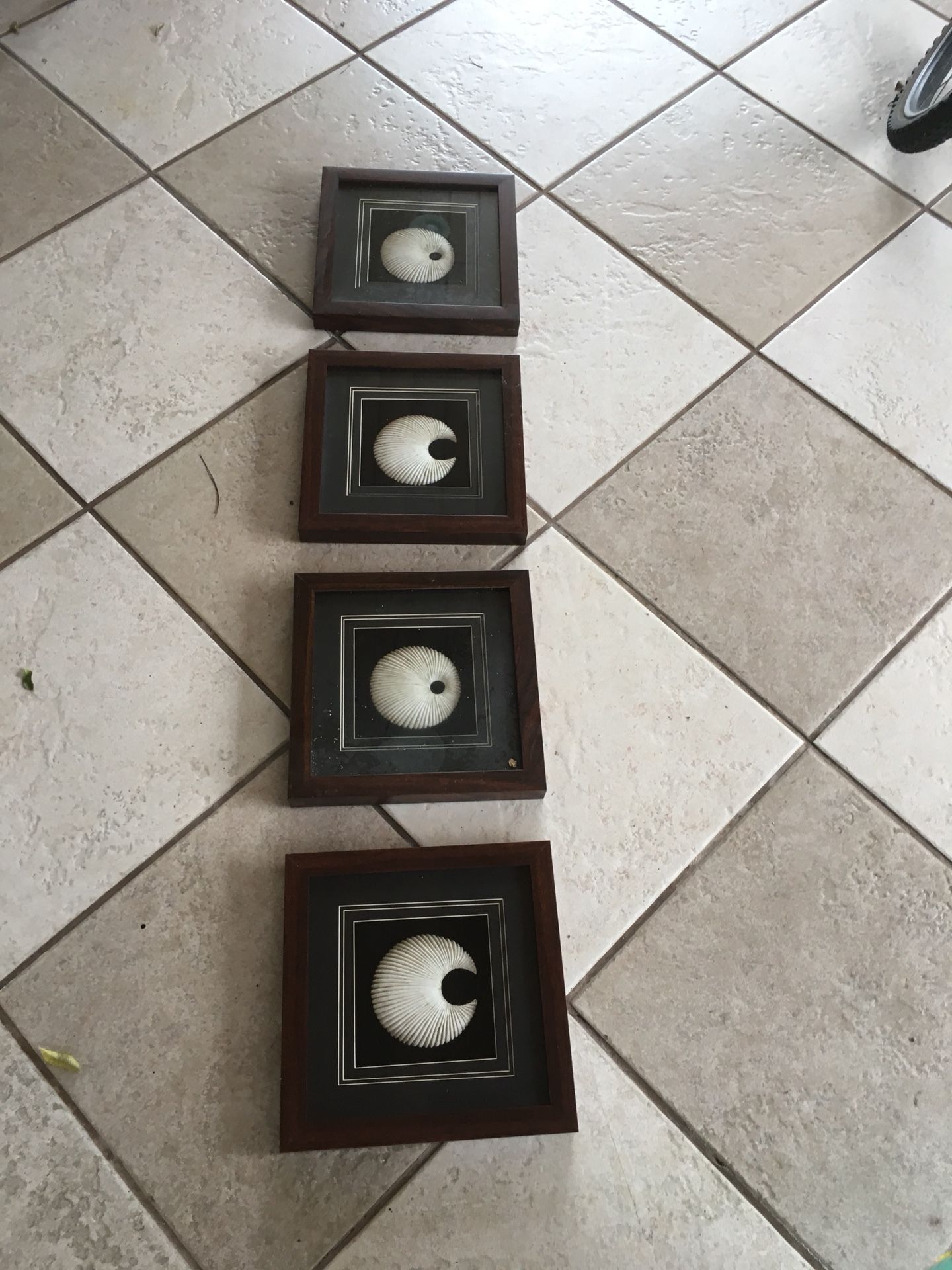 Frames