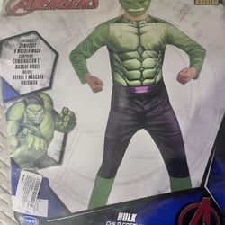 Kids Hulk Costume 