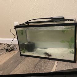 Fish Tank / Aquarium 