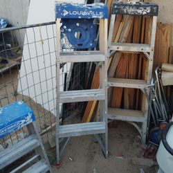 200 Lb Capacity Ladder