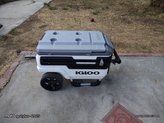 Igloo ice chest for $100