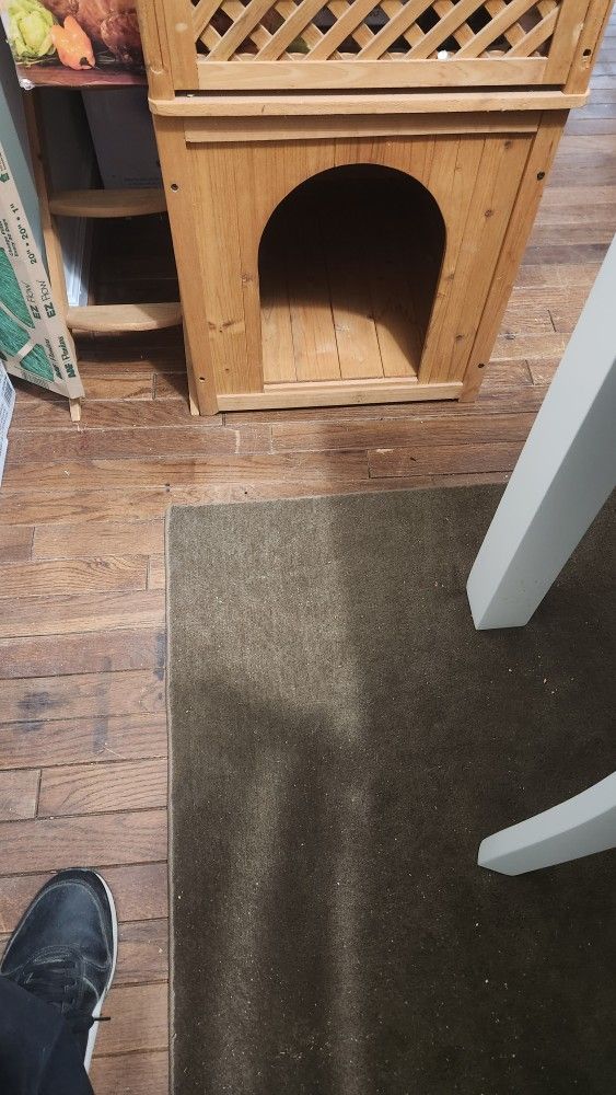 Small Dog House