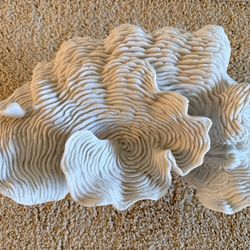 Coral Reef decoration on a base