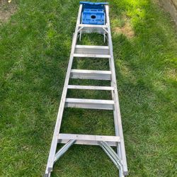6 Foot Aluminum Werner Ladder