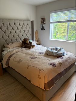 Queen bed frame and mattresses