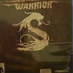 PS4 Game Shadow Worrior 