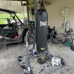 Everlast punching bag (with stand) + gloves