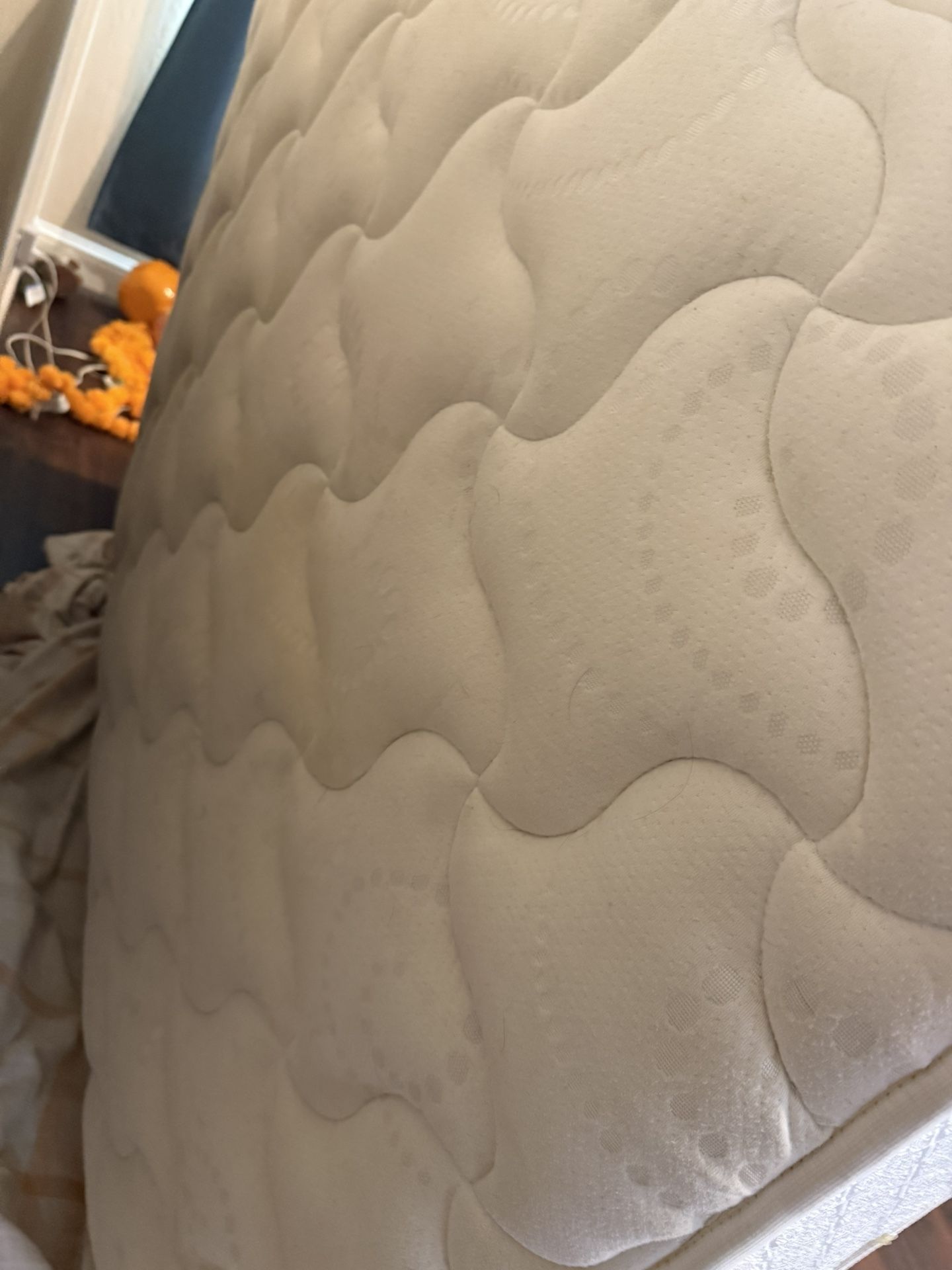 Free Full Size Mattress