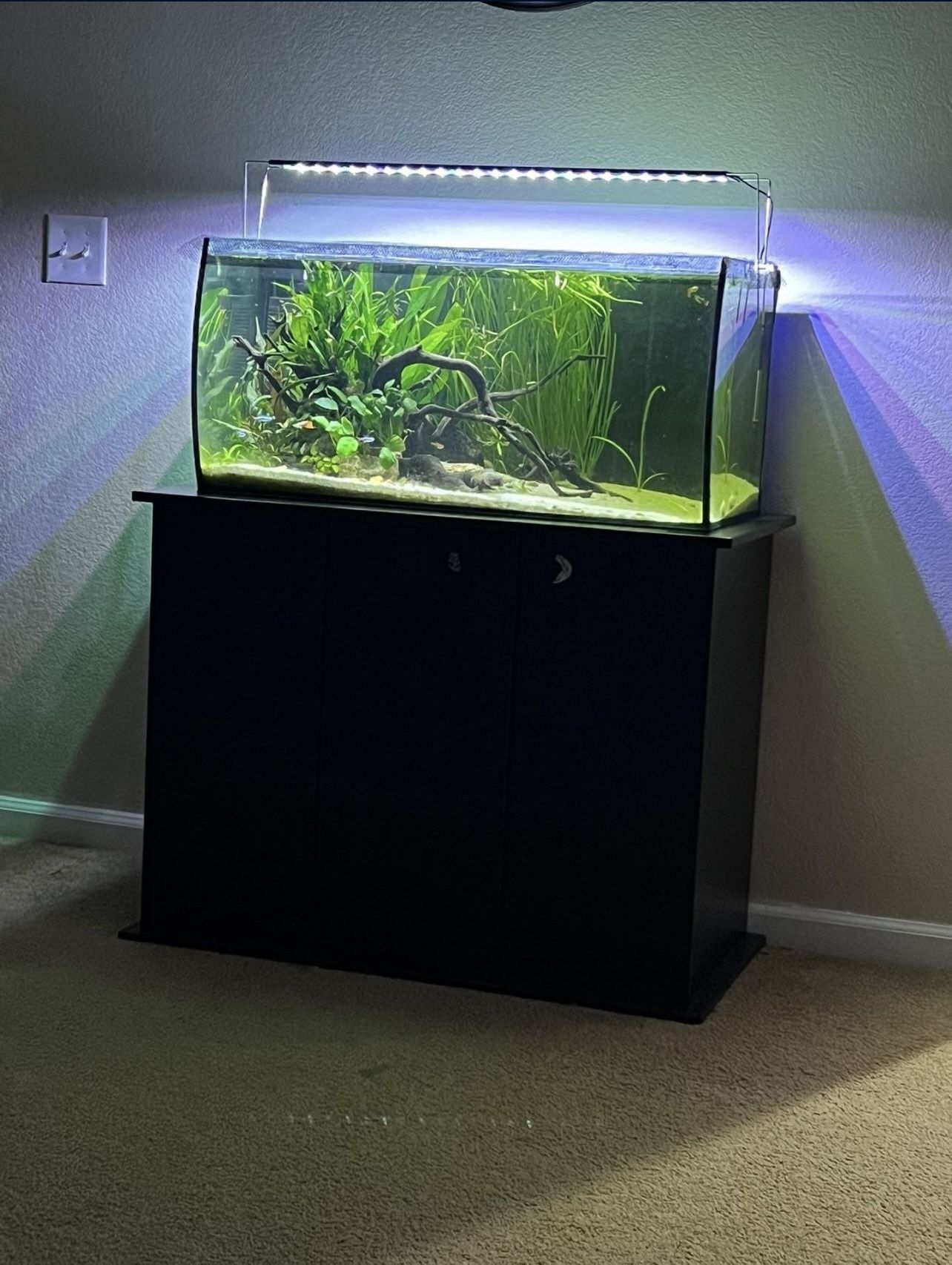 Fluval Flex 32 Gallon Fish Tank Only No Stand
