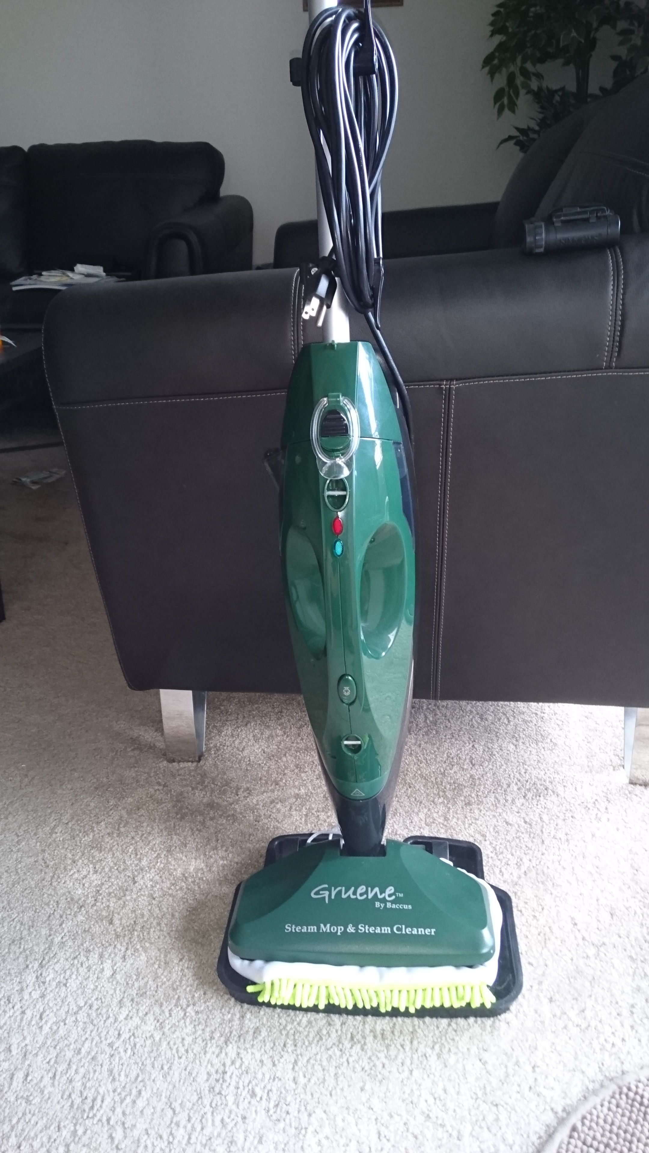 Gruene steam cleaner and mop