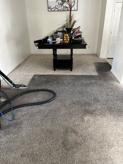 Carpet Stain Cleaner