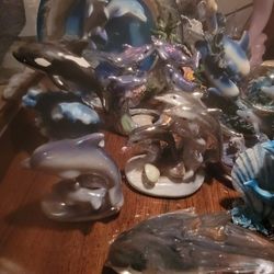 Dolphin Collection 
