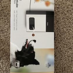 Petcube Bites Like New 