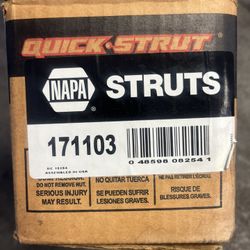 Struts Nissan xterra/pathfinder