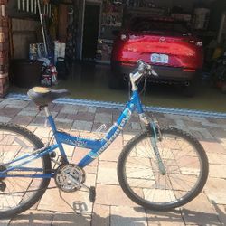 18 Speed Roadmaster Girls Bike Blue 