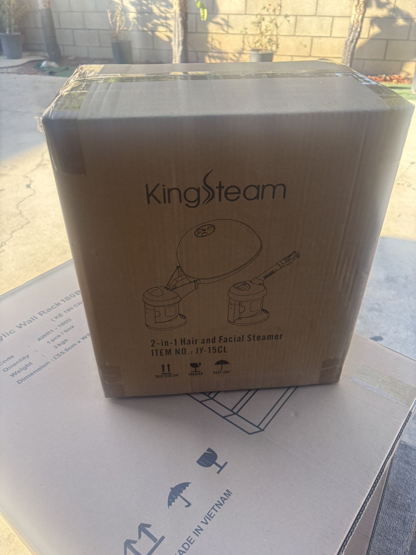 Hair And facial steamer