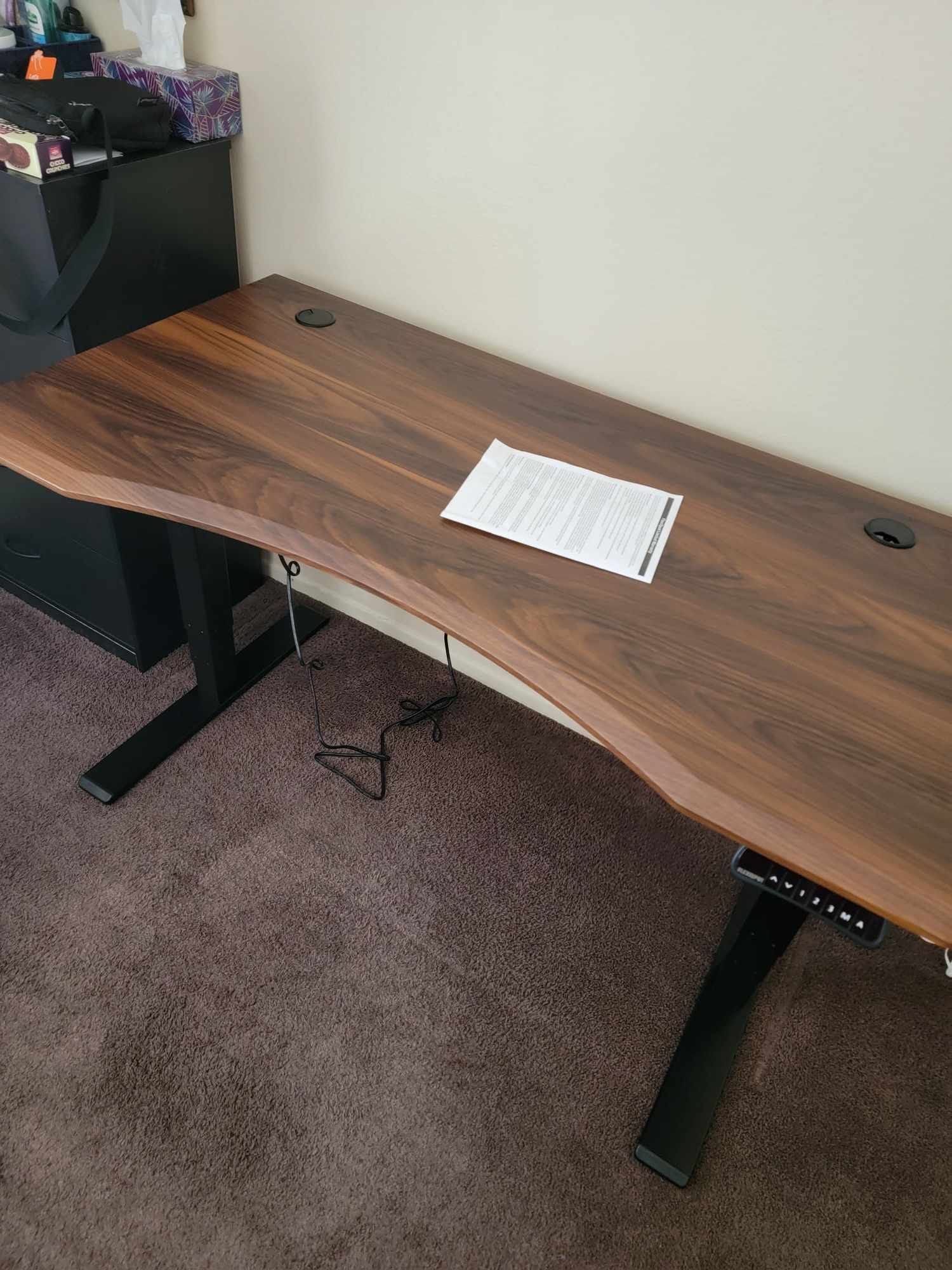 Flexispot Pro Standing Desk E5