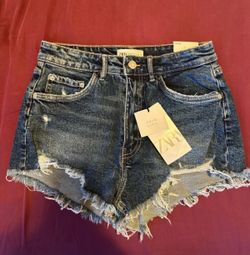 Zara Shorts