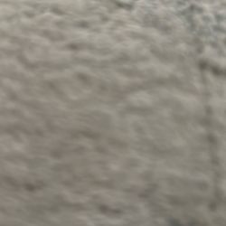 Robert Graham & Bugachi Men Shorts