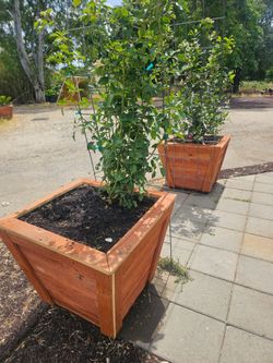 Flower pots Macetas