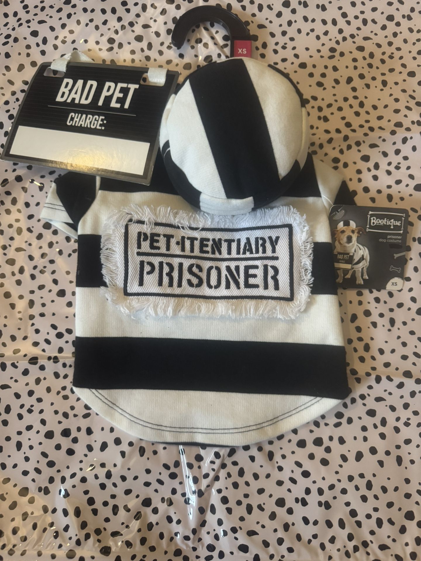 Halloween Pet Costume