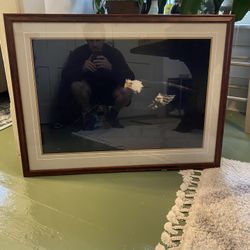 Bald Eagle / Pictures / Photo’s / Photography / Thomas Mangelsen Art