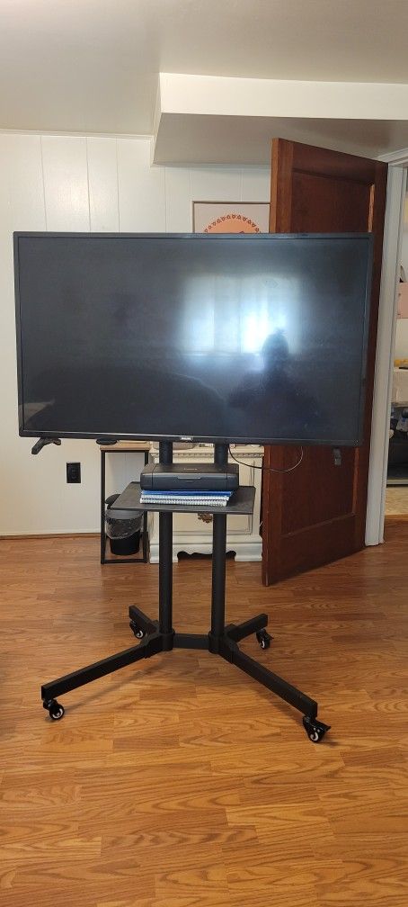 Floor Stand TV Mount