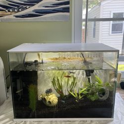 Fish Tank ( Free Accessories Include )