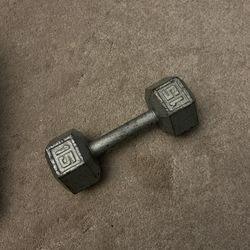 One 15 Pound Dumbbell 