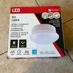 Light Bulb Led