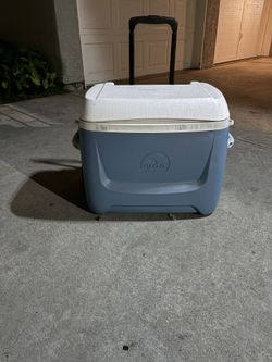 Igloo Cooler