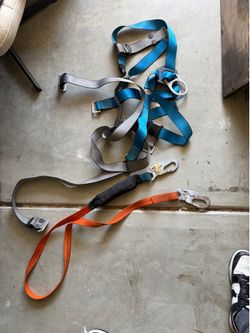 Tree trimming harness