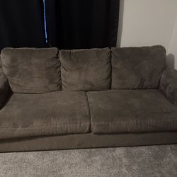 Couch with pull out bed