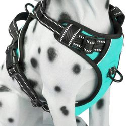 Harness Medium