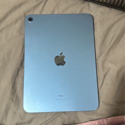 iPad 